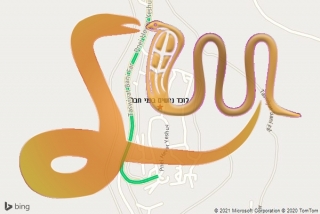 לכידת נחש בפני חבר - לוכד נחשים בפני חבר
