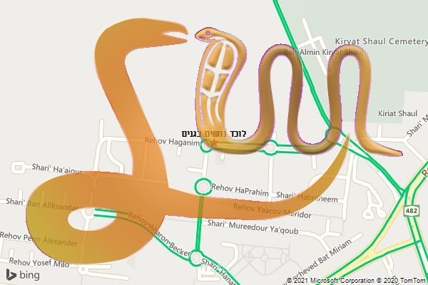 לוכד נחשים בגנים