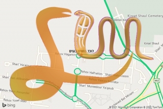 לכידת נחש בגנים - לוכד נחשים בגנים