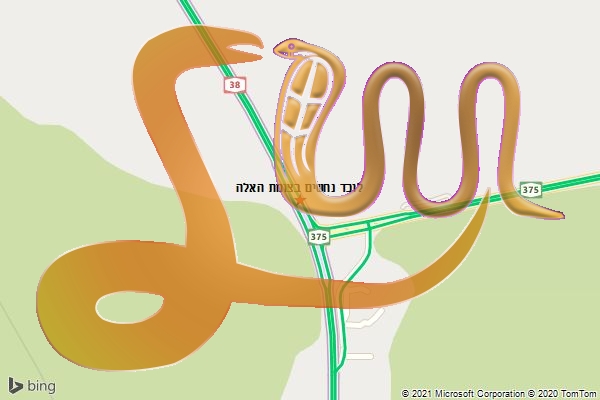 לוכד נחשים בצומת האלה