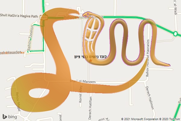 לוכד נחשים בבני ציון