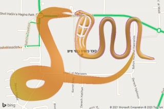 לכידת נחש בבני ציון - לוכד נחשים בבני ציון