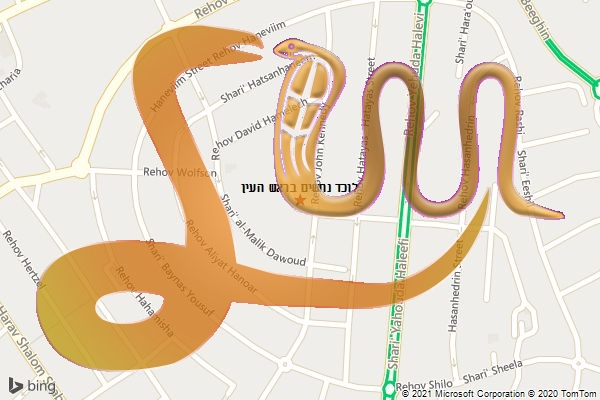 לוכד נחשים בראש העין