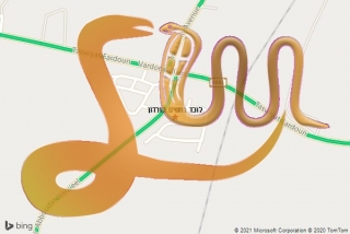 לכידת נחש בורדון - לוכד נחשים בורדון