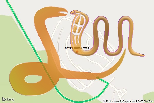 לוכד נחשים באודם
