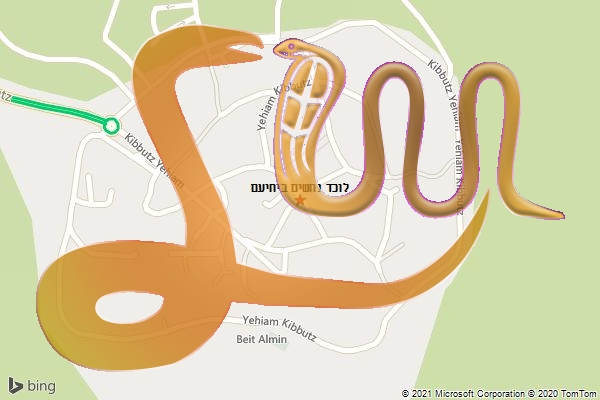 לוכד נחשים ביחיעם