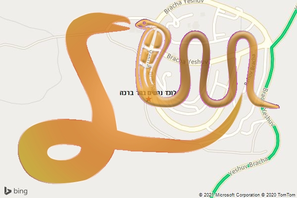 לוכד נחשים בהר ברכה
