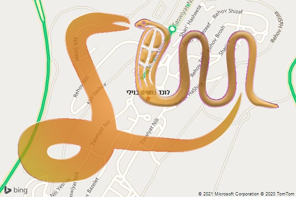 לוכד נחשים בנילי