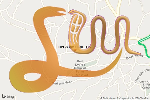 לוכד נחשים באום אל פחם