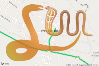 לכידת נחש בדבירה - לוכד נחשים בדבירה