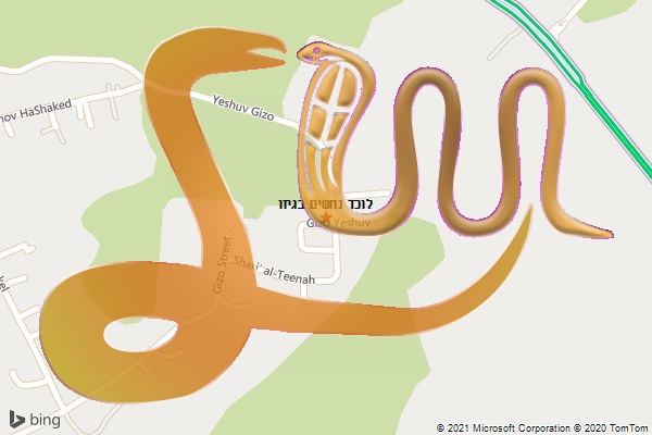 לוכד נחשים בגיזו