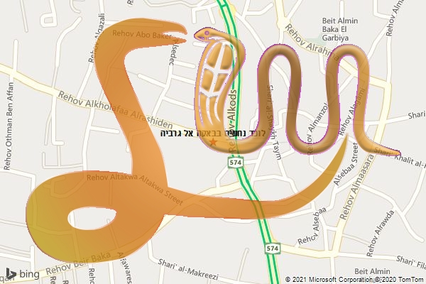 לוכד נחשים בבאקה אל גרביה