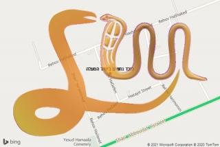 לכידת נחש ביסוד המעלה - לוכד נחשים ביסוד המעלה