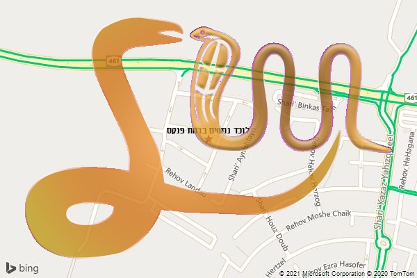 לוכד נחשים ברמת פנקס
