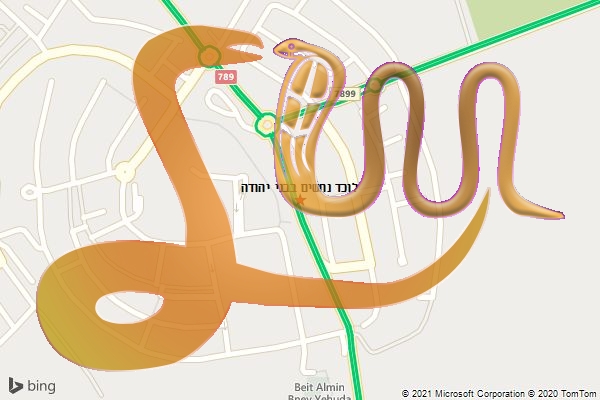 לוכד נחשים בבני יהודה