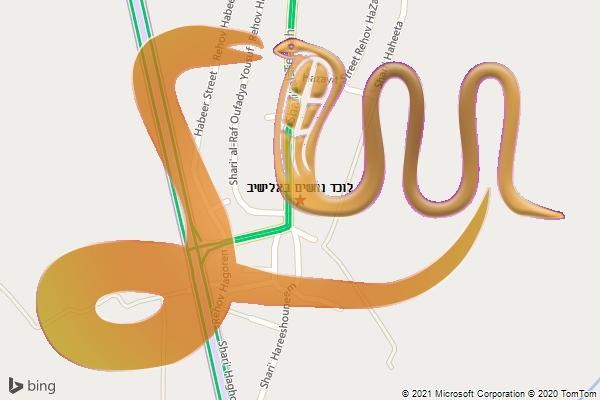 לוכד נחשים באלישיב
