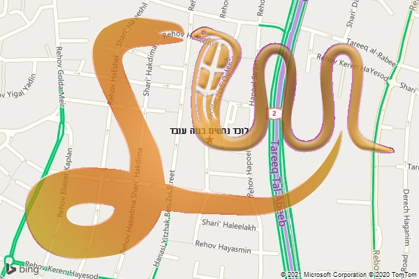 לוכד נחשים בנוה עובד