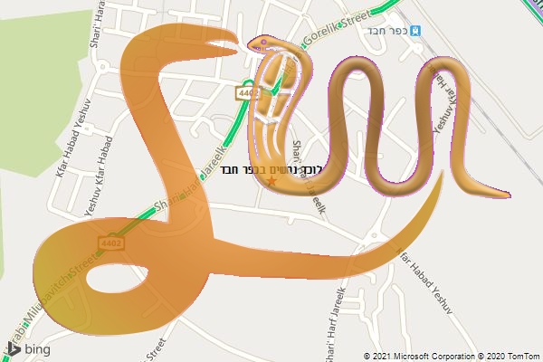 לוכד נחשים בכפר חבד