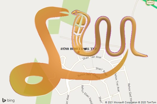 לוכד נחשים בחצרות חולדה