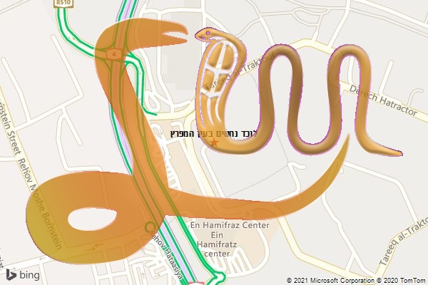 לוכד נחשים בעין המפרץ