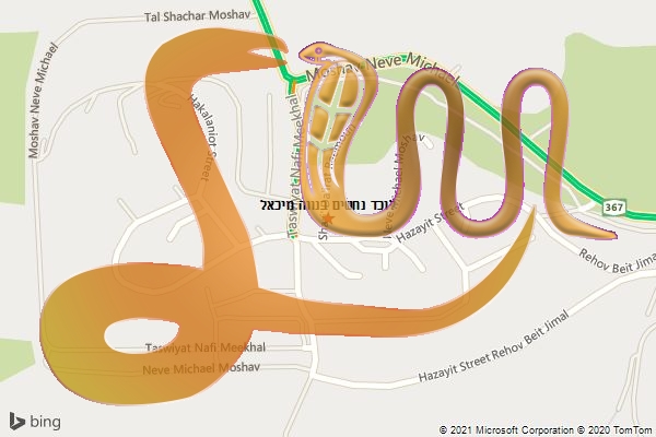 לוכד נחשים בנווה מיכאל