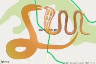 לכידת נחש בכפר סמיע - לוכד נחשים בכפר סמיע