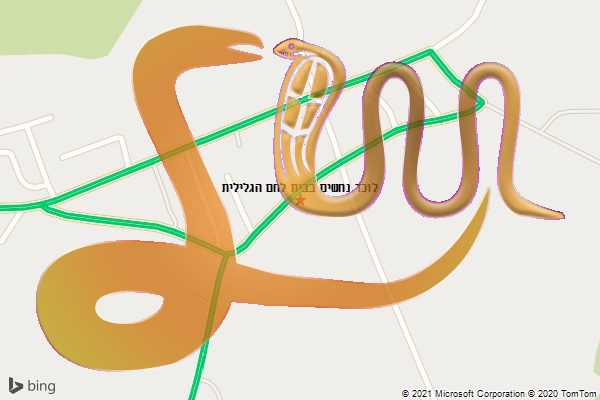 לוכד נחשים בבית לחם הגלילית
