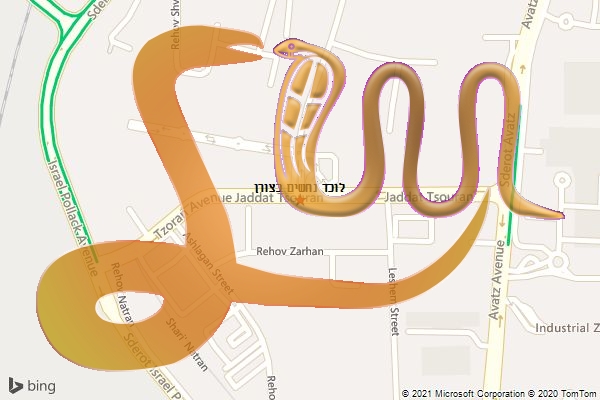 לוכד נחשים בצורן