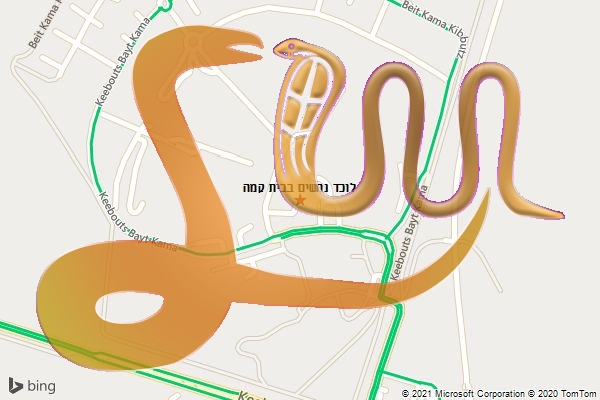 לוכד נחשים בבית קמה