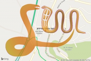 לכידת נחש בפוריידיס - לוכד נחשים בפוריידיס