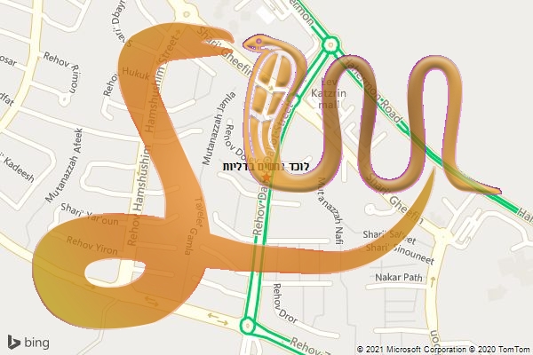 לוכד נחשים בדליות