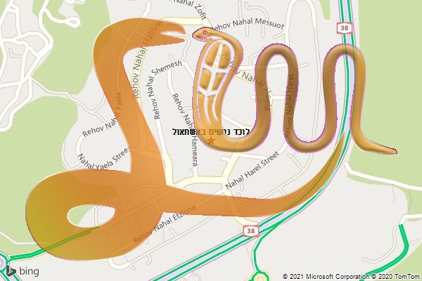 לוכד נחשים באשתאול