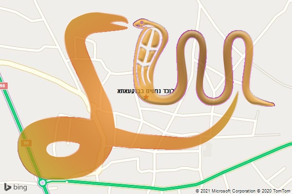 לוכד נחשים בבוקעאתא