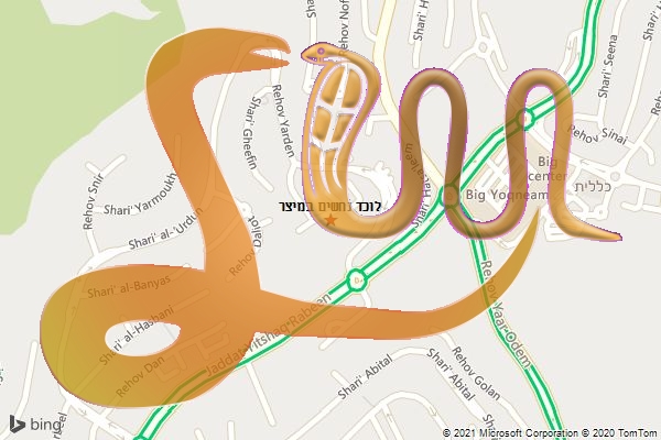 לוכד נחשים במיצר