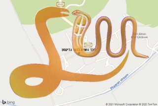 לכידת נחש בכפר גליקסון - לוכד נחשים בכפר גליקסון