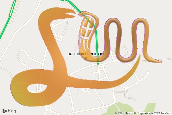 לוכד נחשים במשמר הנגב