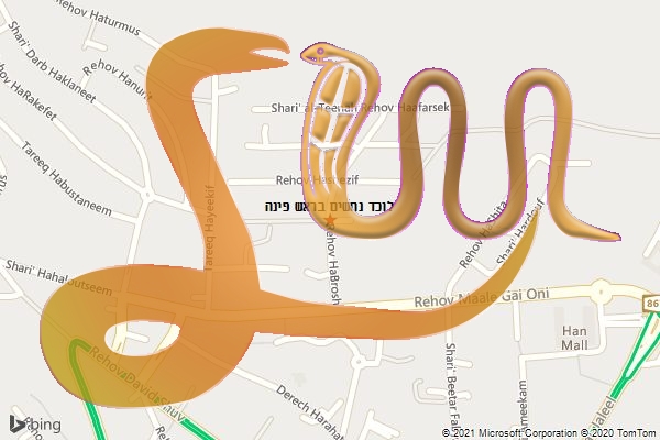 לוכד נחשים בראש פינה