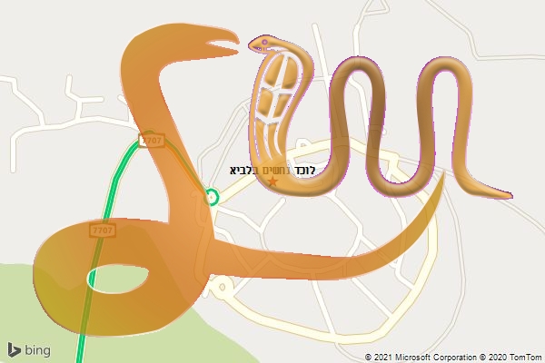 לוכד נחשים בלביא