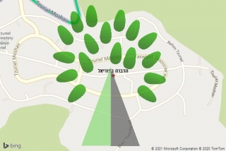 מדביר בצוריאל - הדברה בצוריאל