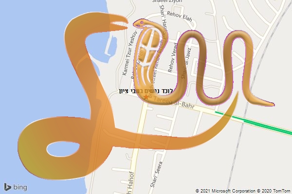 לוכד נחשים בשבי ציון