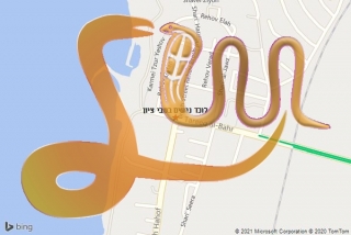 לכידת נחש בשבי ציון - לוכד נחשים בשבי ציון
