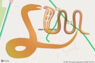 לכידת נחש בעין הנציב - לוכד נחשים בעין הנציב