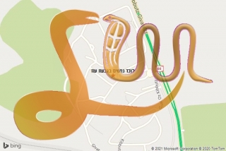 לכידת נחש בגבעת עוז - לוכד נחשים בגבעת עוז
