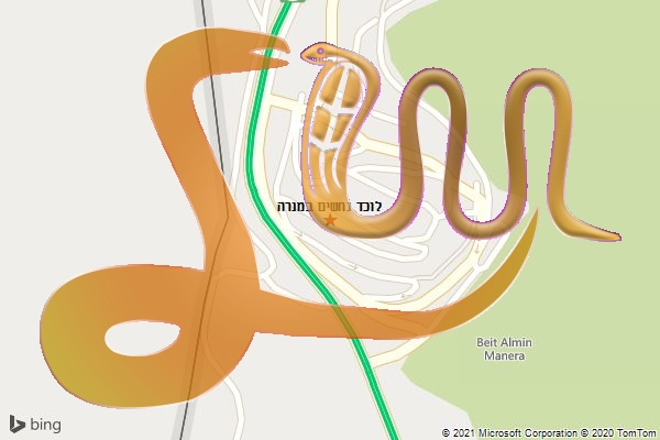 לוכד נחשים במנרה