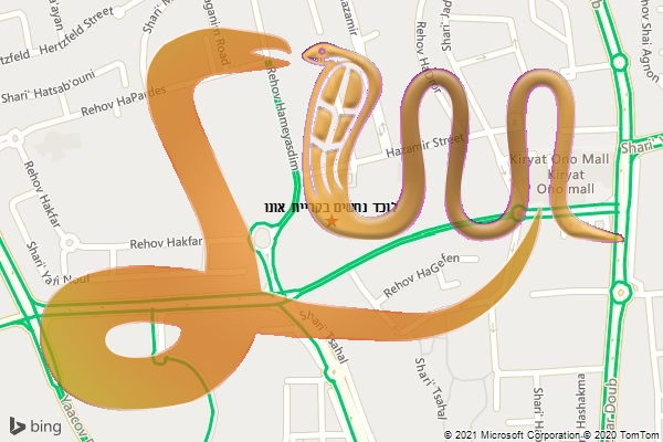 לוכד נחשים בקריית אונו