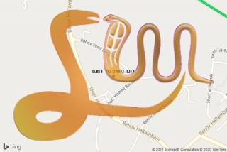 לכידת נחש ביד רמבם - לוכד נחשים ביד רמבם