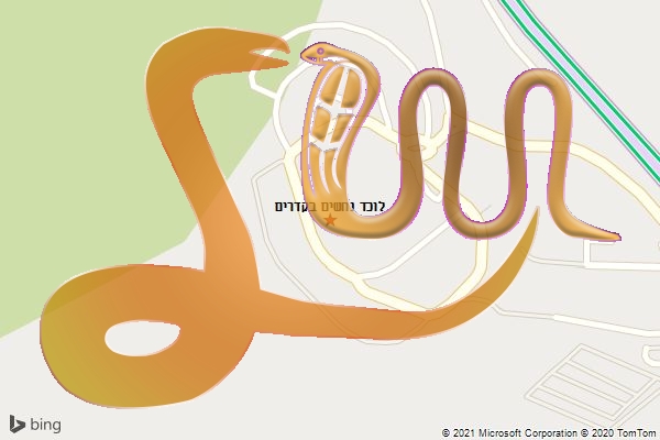לוכד נחשים בקדרים