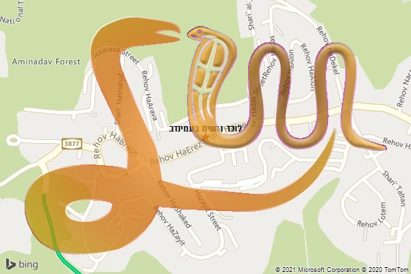 לוכד נחשים בעמינדב