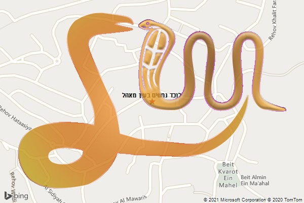 לוכד נחשים בעין מאהל