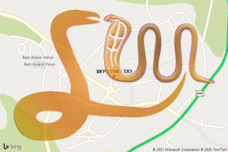 לכידת נחש ביראון - לוכד נחשים ביראון
